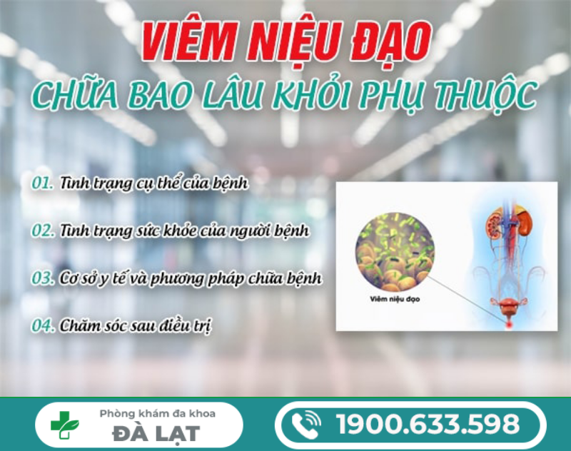 Hình ảnh minh họa